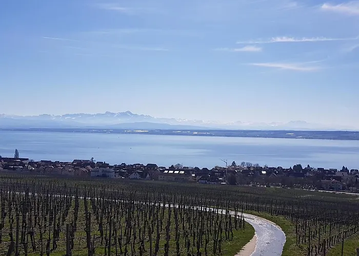 Am Badischen Weinberg