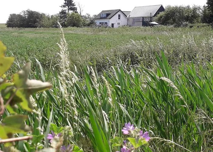 In De Boomgaard