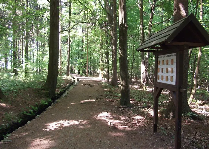 Ferienwohnung Erzgebirge - Pobershau - mit schönem Ausblick, ruhige, beste Lage