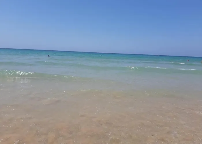 Apartamento La Zarzuela