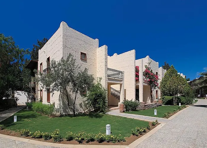 Camelot Boutique (Adults Only)
