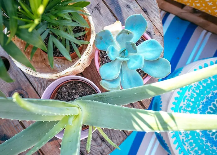 The KAlifornia I stilvoll mit Urlaubsfeeling I Dachterrasse I Netflix I Klima