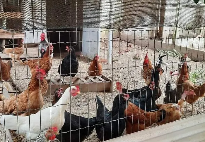 Quarto Suíte Itapoá - SC