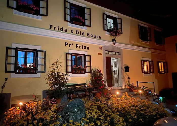 Frida'S Old House