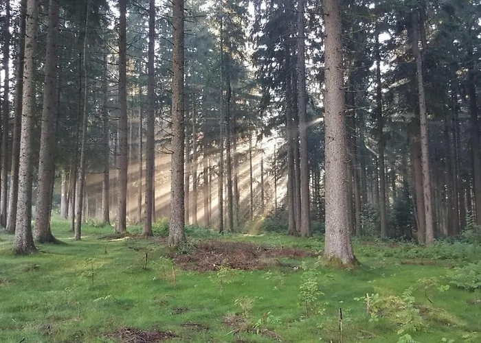 Schwarzwald geht immer Fewo 60 qm mit großem Südbalkon, WLAN und Magenta TV