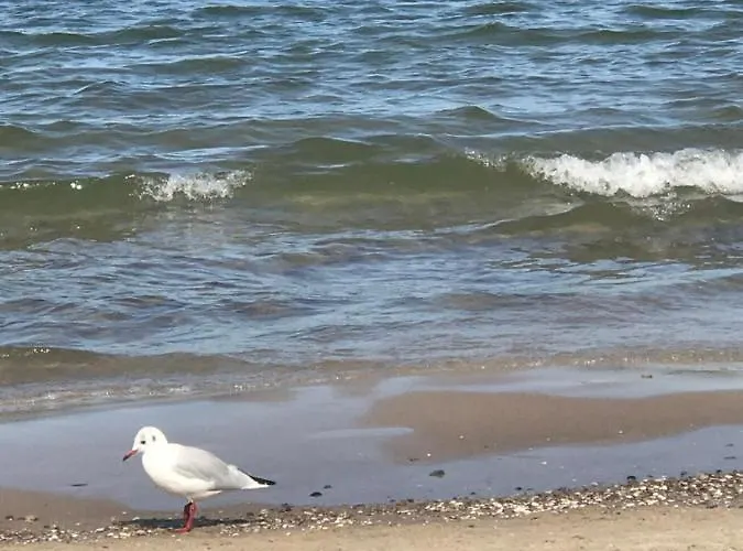 Ferienwohnung Goa auf Usedom