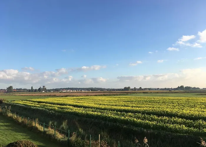 Knus Appartement Met Zicht Op Zeepolder