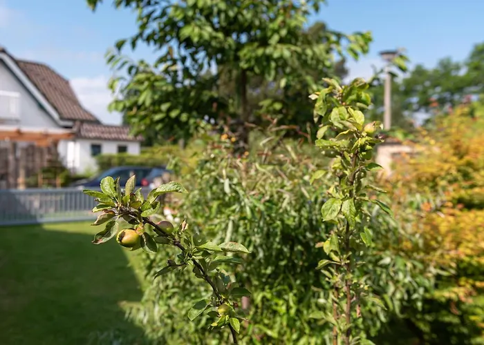 Ferienhaus Lütten Kulli - 2