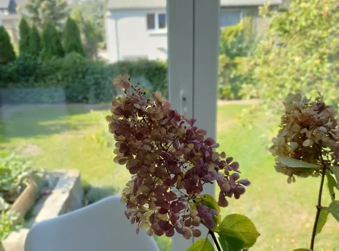 Apartament Pod Wieza