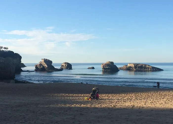 L'Ocean A Perte De Vue, La Grande Plage A Vos Pieds