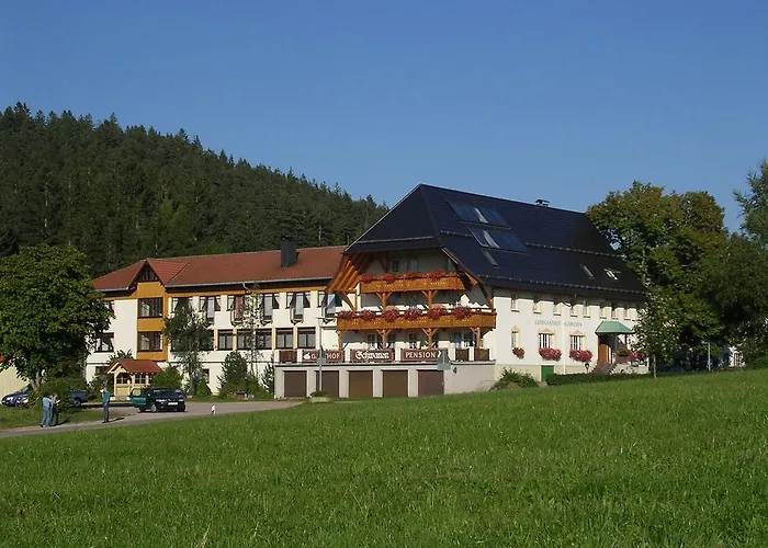Landgasthof Zum Schwanen