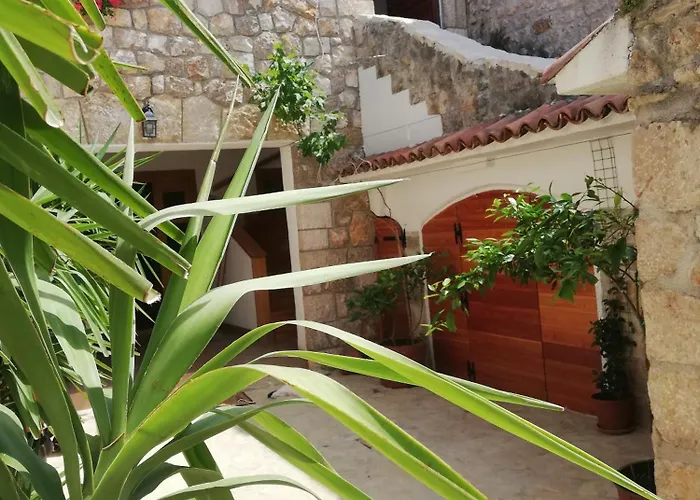 Apartments Branko