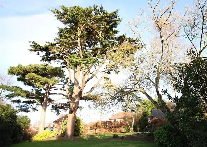 Canterbury Hotel Cottages And Apartment'S