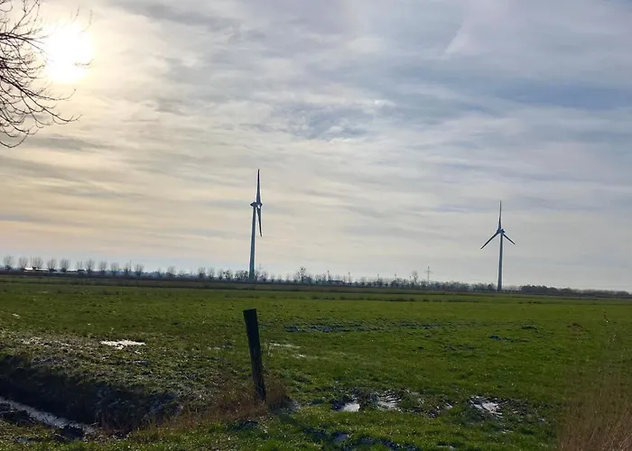 Paradiesje 3