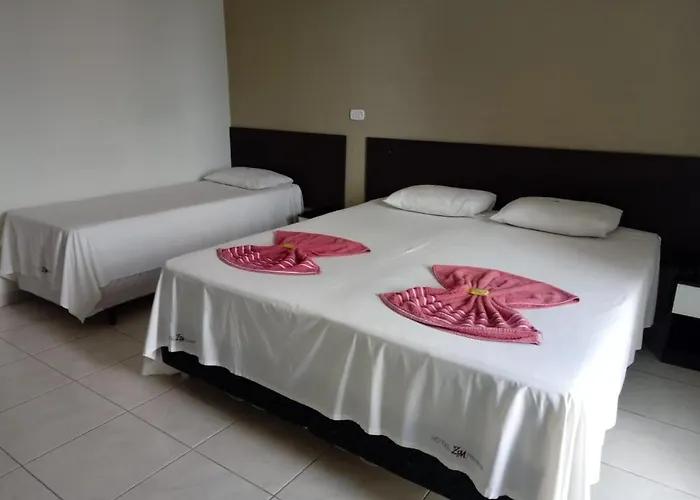 Hotel Zm Premium