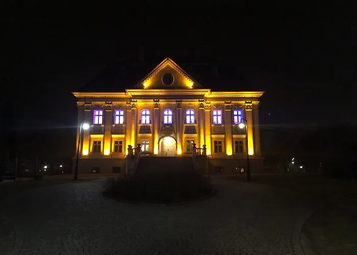 Hotel Palac Borynia