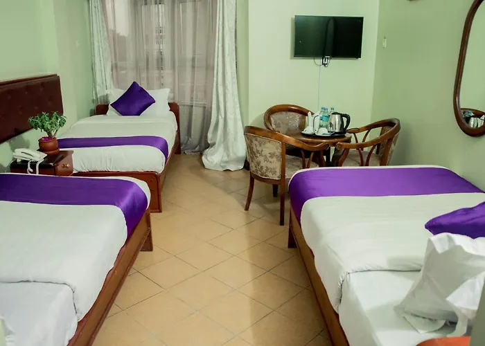 New Hotel Aquiline
