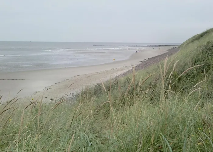 Wattwurm