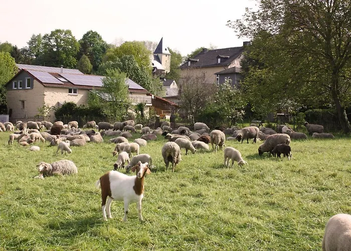 Urlaub im Kunstatelier
