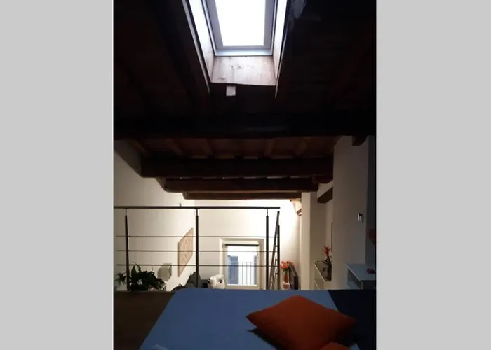 Fiordiloto57