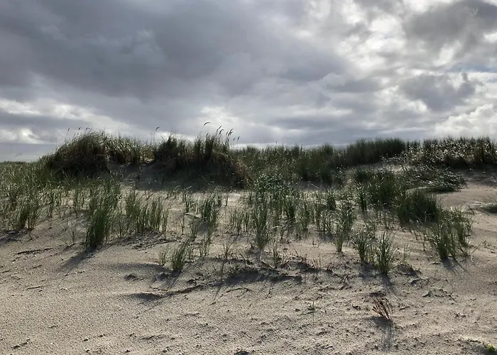 Trekvogels Hoern