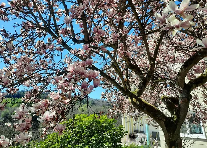 Rottgarten