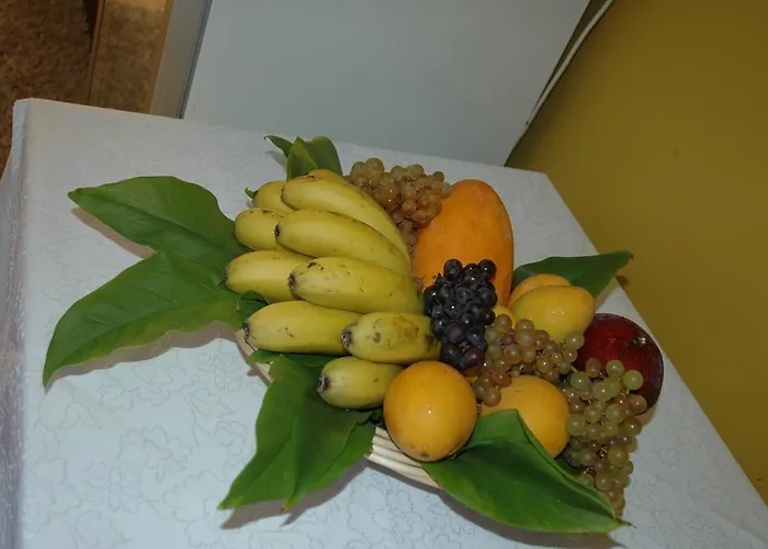Hotel Jardin Concha