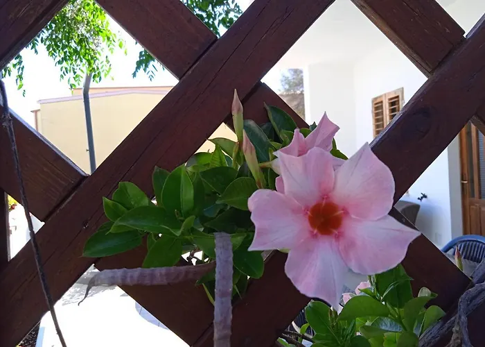 Guest House Oleandro