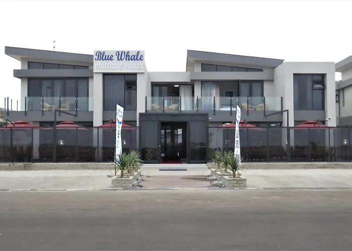 Blue Whale Hotels