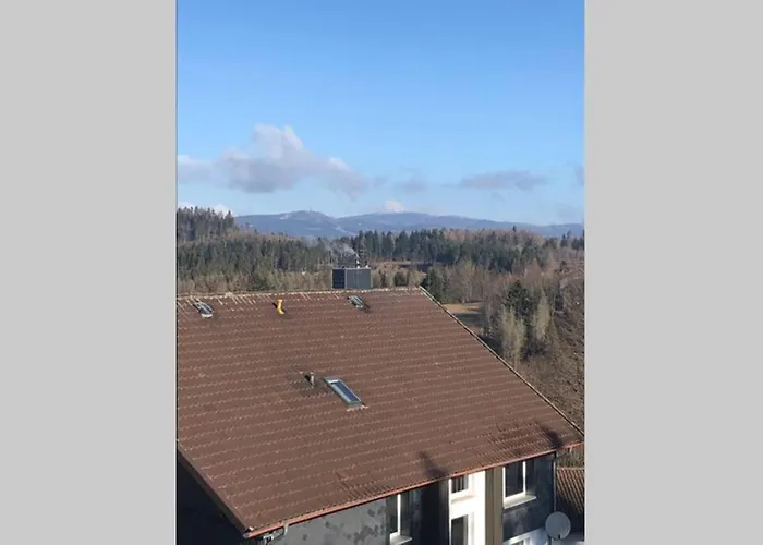Komfortferienwohnung Harzglueck auf 2 Etagen