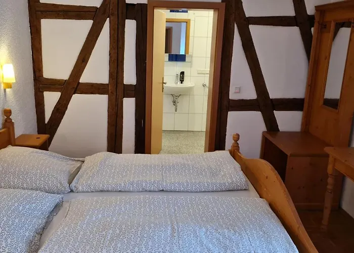 Hotel Kartäuser Hof Mainz Bodenheim