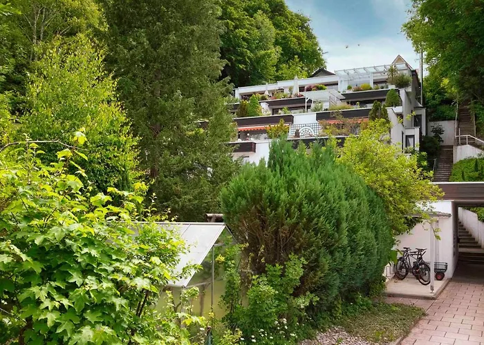 Petras Ammerseeblick