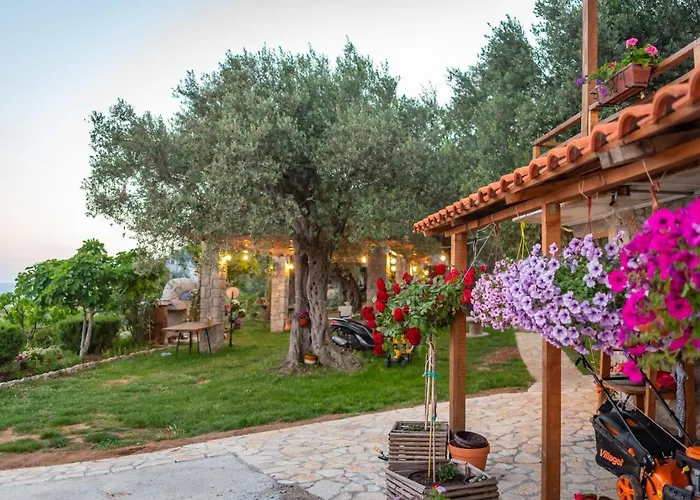 Holiday Park Olive Tree