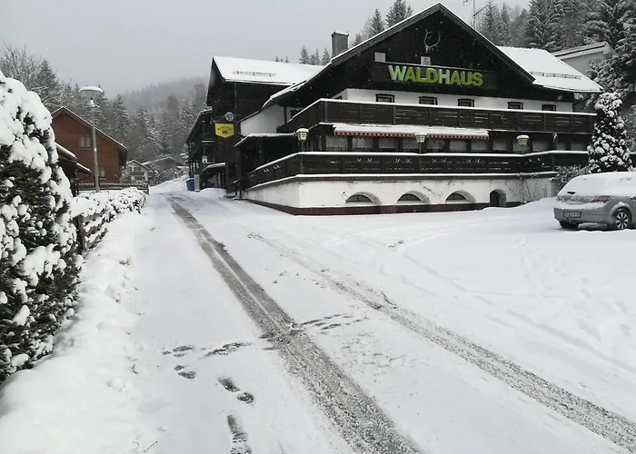 Hotel Waldhaus