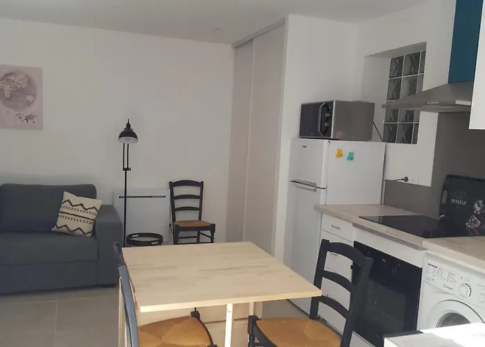 Appartement Rez De Jardin Avec Piscine