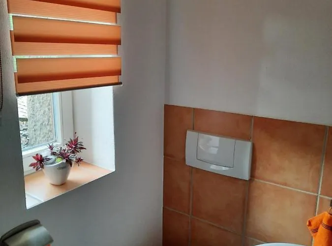 Ferienwohnung Villa Frosch