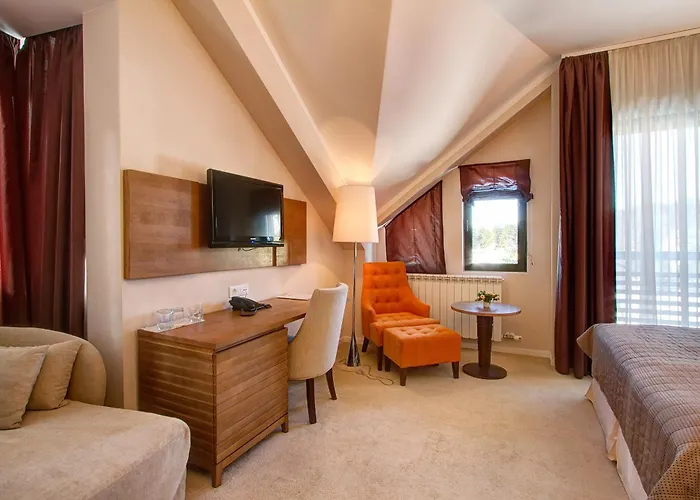 Hotel MIR