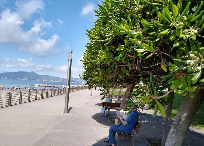 Vista Sul Carruggio, Centro Storico Di Chiavari