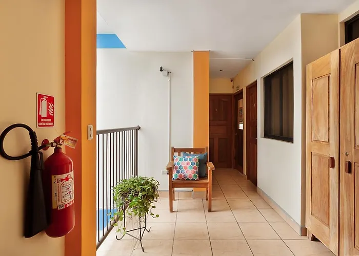 Hostel Tropical&CoWorking