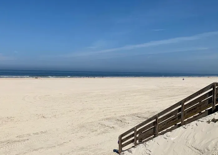 Hamac - Vue Mer - 100M Plage
