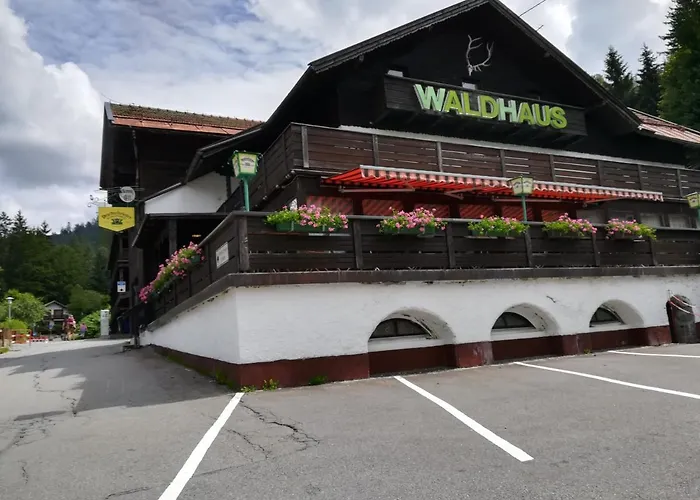 Hotel Waldhaus