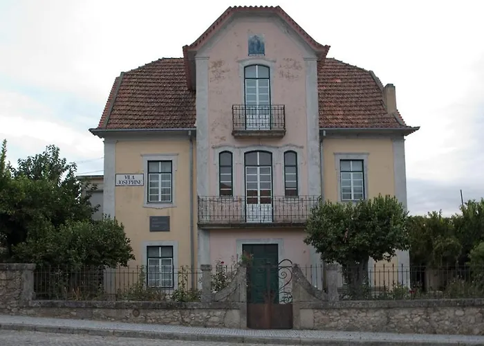 O Salgueiro