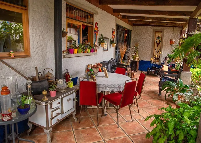 La Casa De Mama Coyita