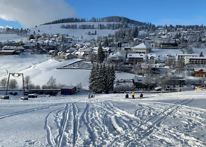 Haus am Sonnenberg,Todtnauberg, Ferienwohnung 002, direkt am Skilift-Skipiste, Nähe Feldberg