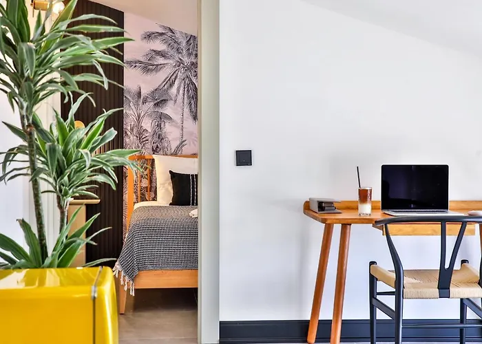 Luff Suites