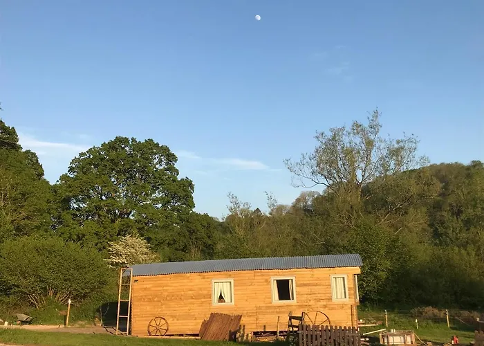 Shepherds Huts at Ham Hill: Lakeside Retreat with Pet-Friendly Cottages
