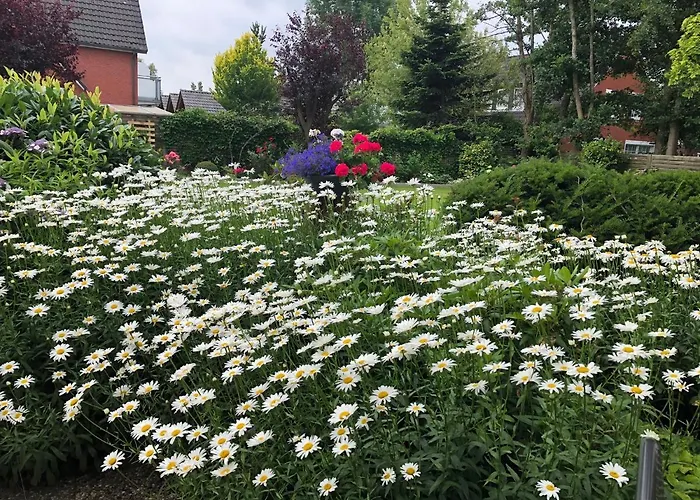 Haus Annegrete mit überdachte Terrasse zum Garten zu Fuß zum Strand und Hafen Bensersiel