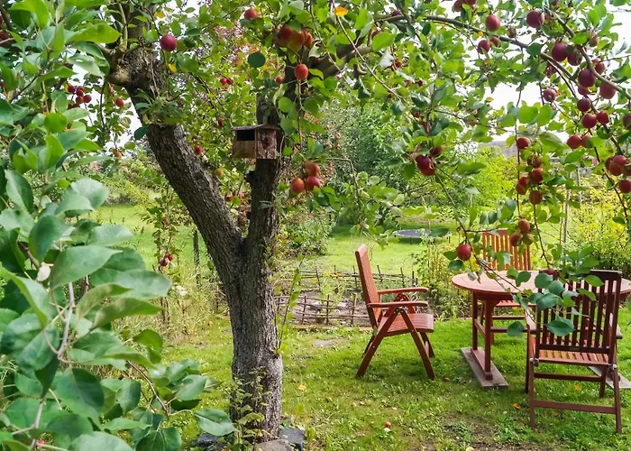 Ferien unnern Appelboom (80m2 Wohnung mit großem Garten)