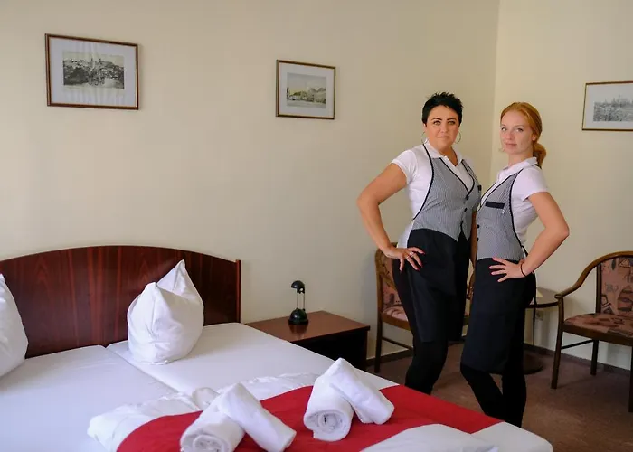 Hotel U Bileho Kone