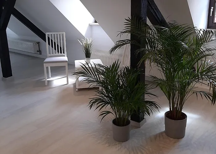 Bugenhagen - Classic Appartements